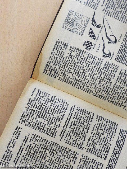 Ifjú Technikus 1956. január-december/Népszerű technika 1957. január-december