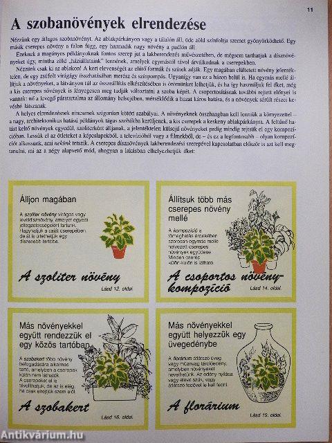 Szobanövények