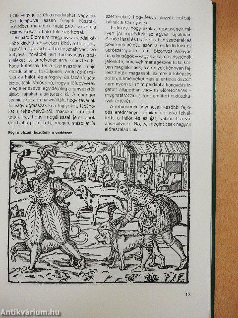 Ó, azok a csodálatos ebek!