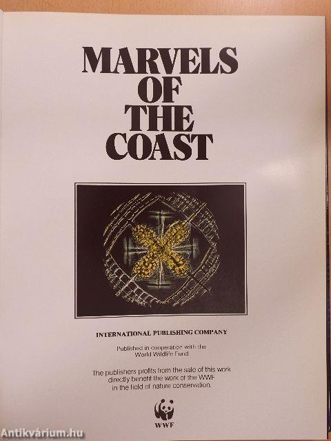 Marvels of the coast