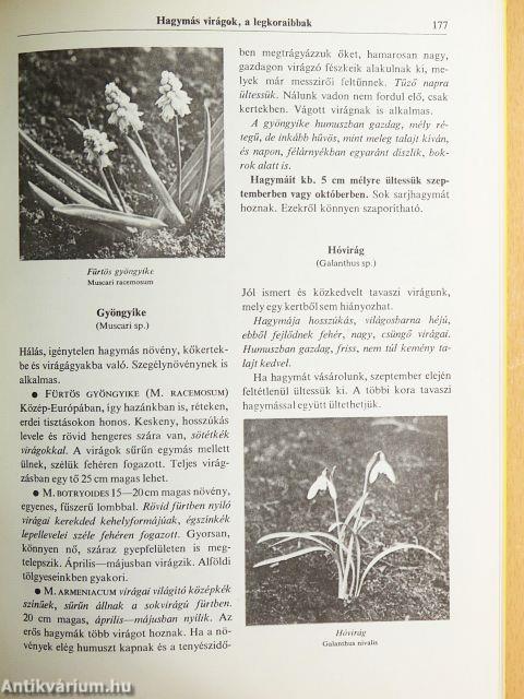 Virágoskert, pihenőkert