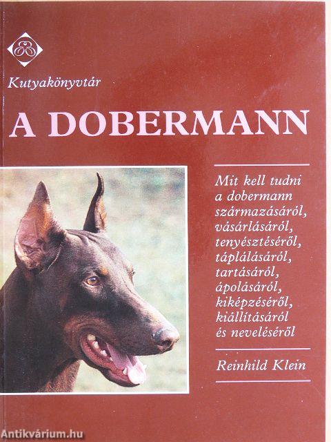 A dobermann