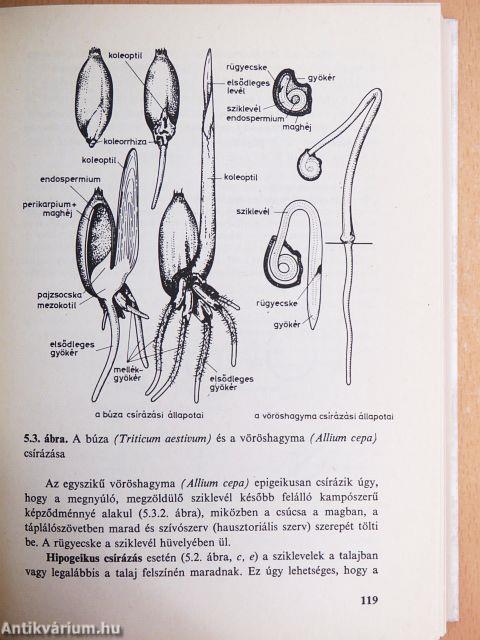 Botanikai kompendium