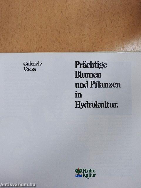 Prächtige Blumen und Pflanzen in Hydrokultur