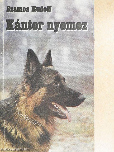 Kántor nyomoz