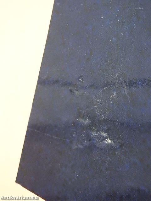 Nemzetközi emberi jogok