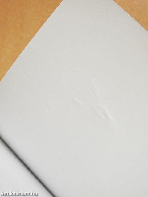 Nemzetközi emberi jogok