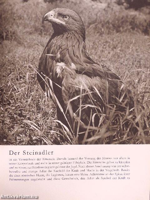 Die große Menagerie