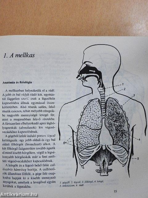 A beszéd művészete - 2 hanglemezzel