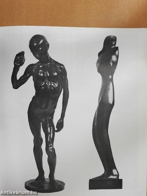 A magyar aktivizmus művészete