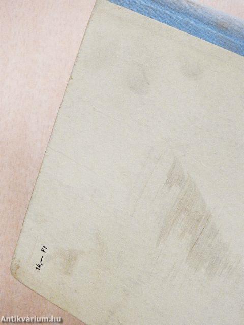 Légideszantok a korszerű harcban