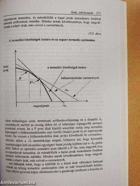 Közgazdaságtan