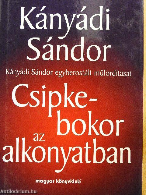 Csipkebokor az alkonyatban