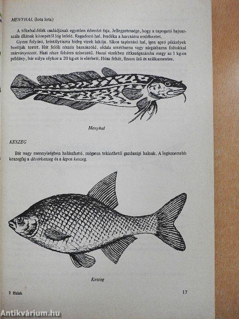 Halakból és egyéb hideg vérű állatokból készült ételek