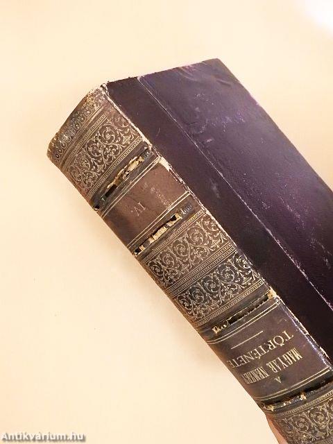 A magyar nemzet története IV.