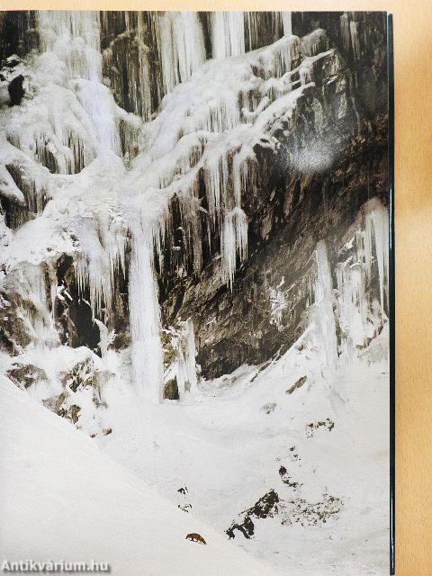 A világ legszebb nemzeti parkjai