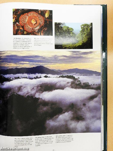 A világ legszebb nemzeti parkjai