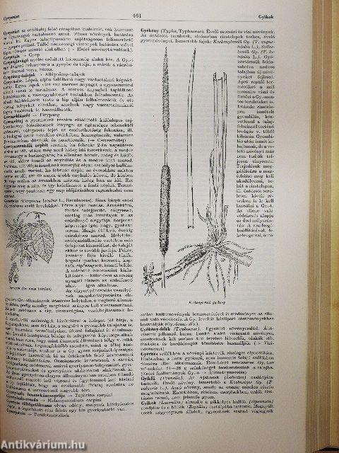 Mezőgazdasági Lexikon 1-2.