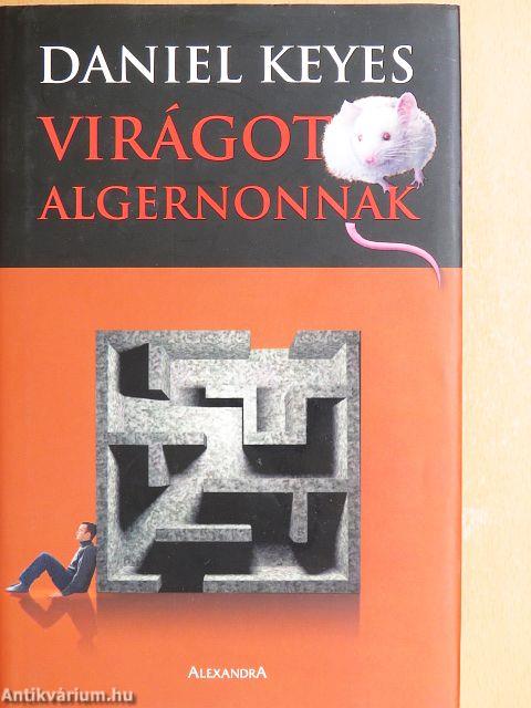 Virágot Algernonnak