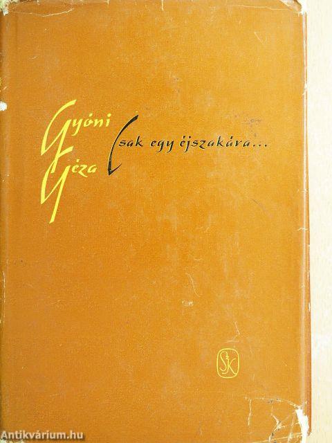 Csak egy éjszakára...