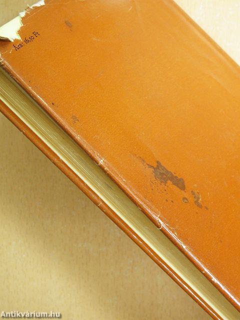 Csak egy éjszakára...