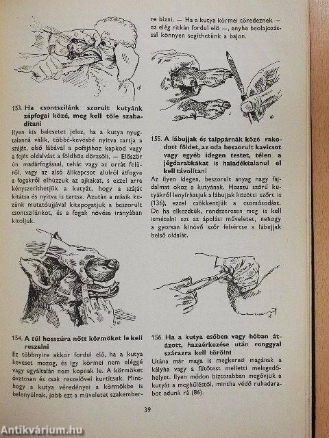 400 tanács kutyakedvelőknek