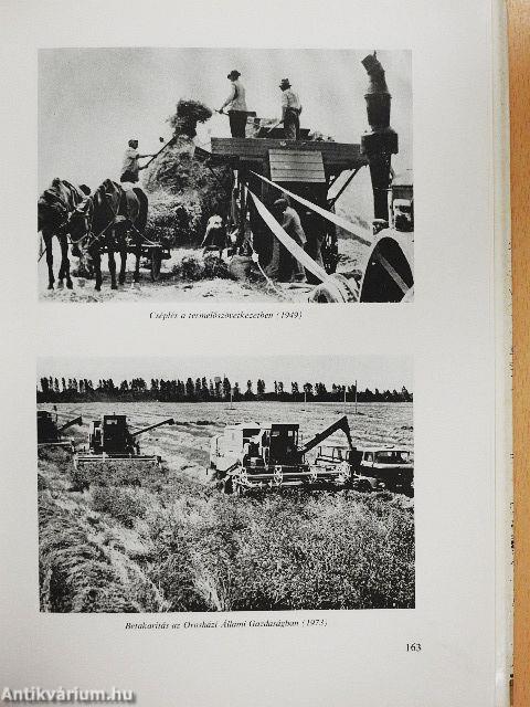 A szocializmus útján