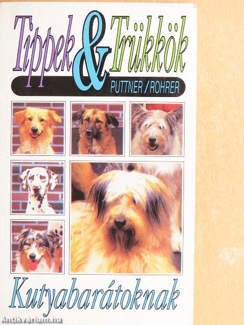 Tippek & trükkök kutyabarátoknak