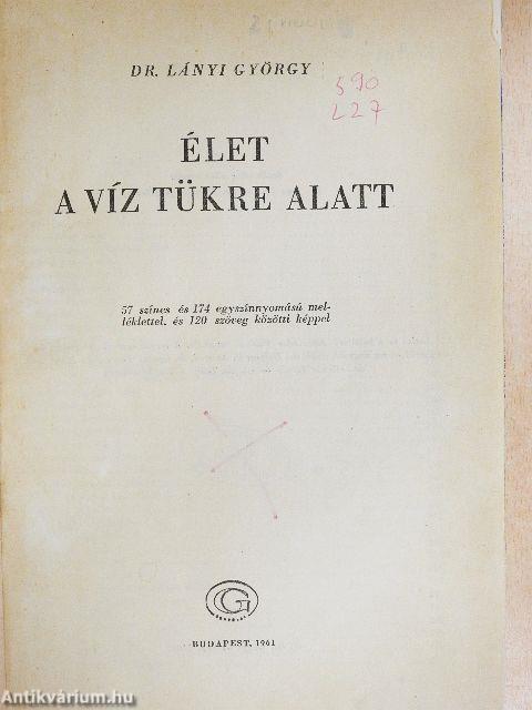 Élet a víz tükre alatt