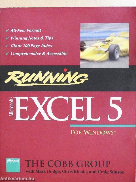 Running Microsoft Excel 5 for Windows