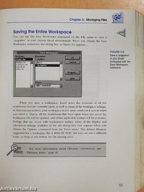 Running Microsoft Excel 5 for Windows