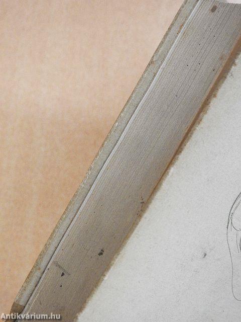 Aki az égtől elragadta a villámot...