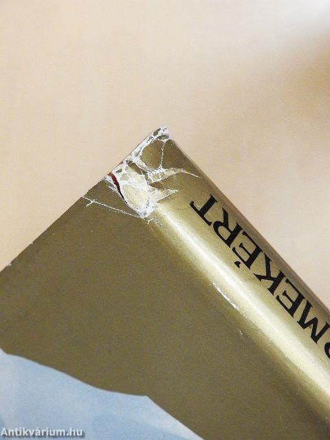 Versenyfutás az aranyérmekért