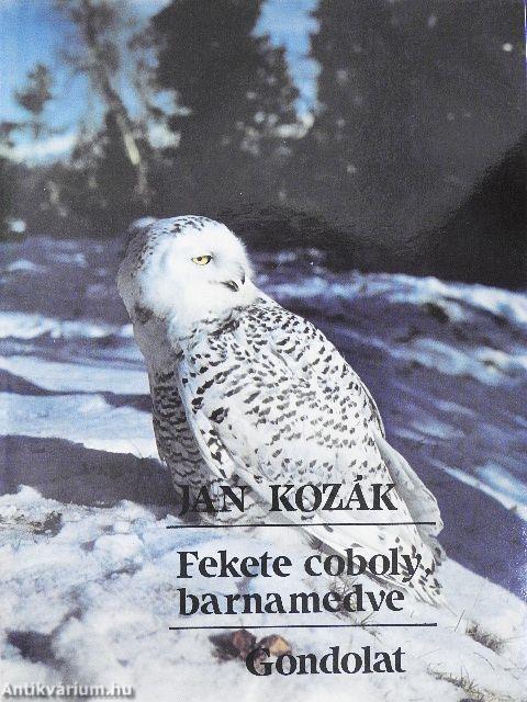 Fekete coboly, barnamedve