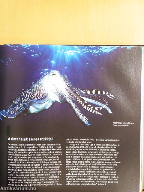 Titokzatos természet