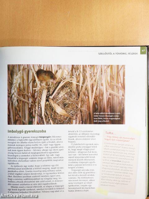 Titokzatos természet