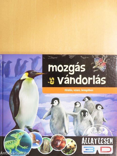 Mozgás és vándorlás