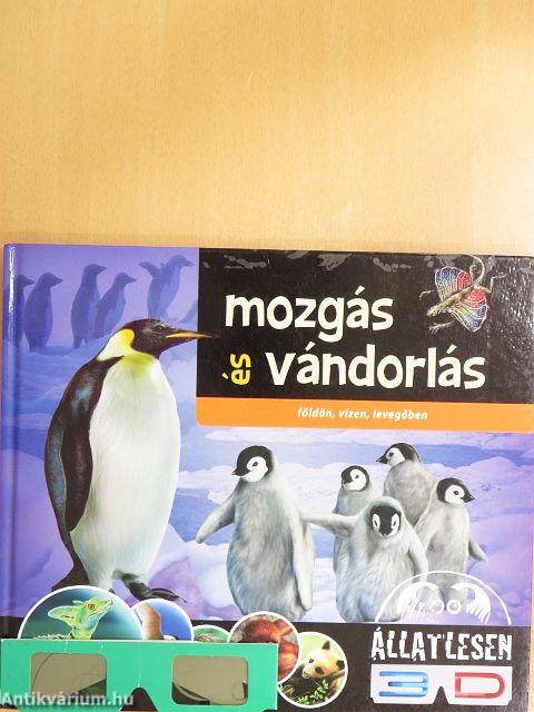 Mozgás és vándorlás