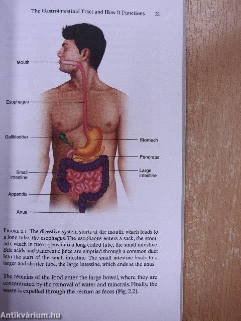 Understanding and Controlling the Irritable Bowel