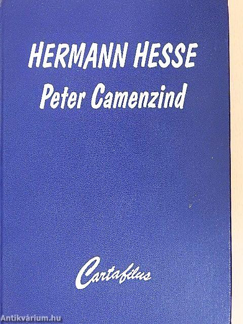 Peter Camenzind