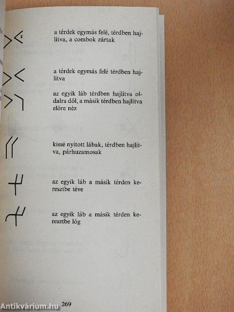 A közvetlen emberi kommunikáció szabályszerűségei