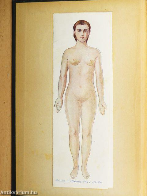 A műveltség útja I.