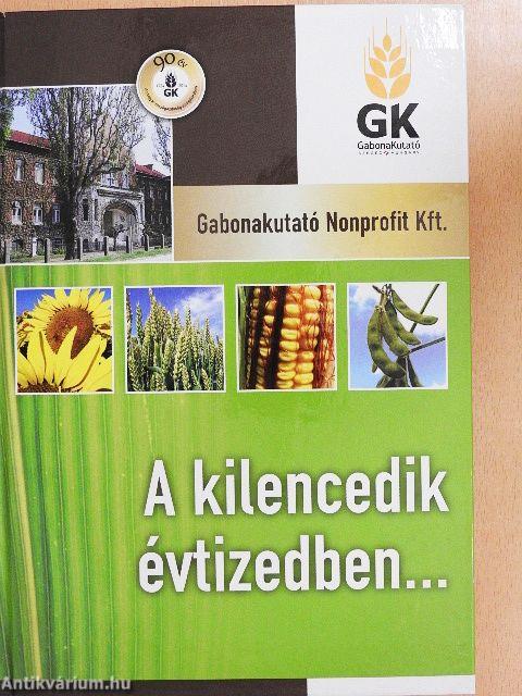 A kilencedik évtizedben...