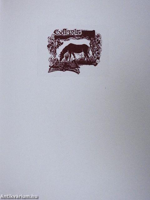 Nem mondhatom el senkinek