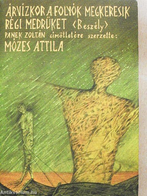 Árvízkor a folyók megkeresik régi medrüket