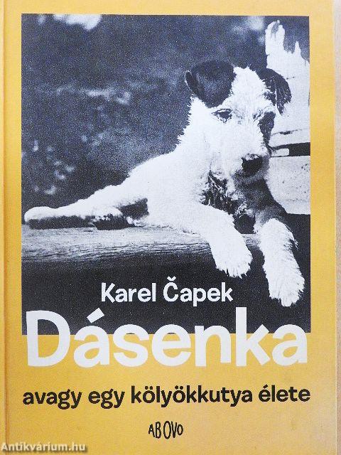 Dásenka