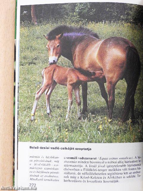 Az állatvilág titkai