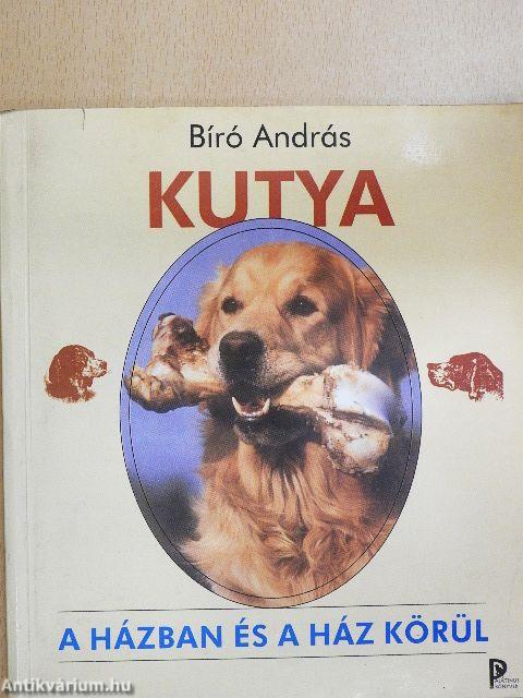 Kutya a házban és a ház körül