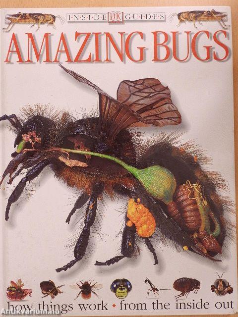 Amazing Bugs