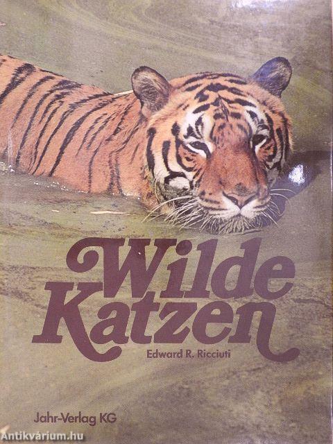 Wilde Katzen